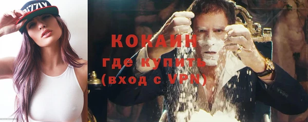 шишки Алзамай