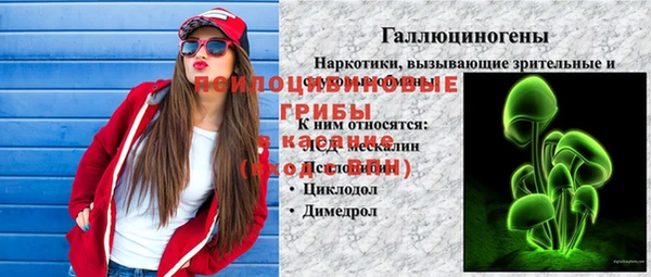 шишки Алзамай