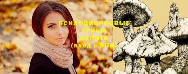mix Алексин