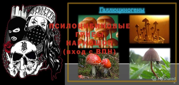 mix Алексин