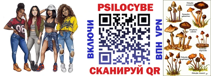 сколько стоит  Иваново  Галлюциногенные грибы Magic Shrooms 