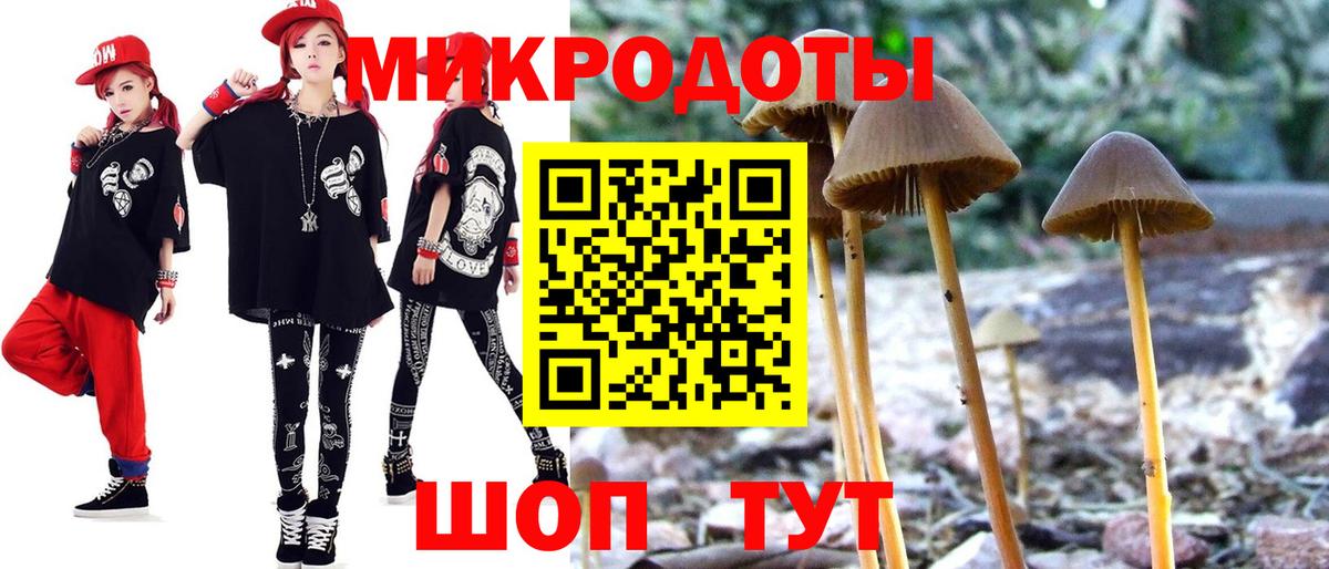 Псилоцибиновые грибы GOLDEN TEACHER  где можно купить   Псилоцибиновые грибы Psilocybe  Иваново  Вход с VPN 