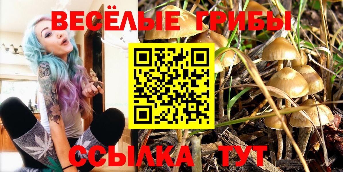 Псилоцибиновые грибы мицелий Иваново