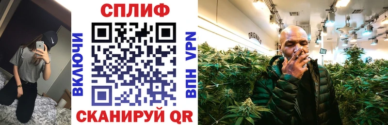 Бошки Шишки план продажа наркотиков маркетплейс какой сайт Иваново
